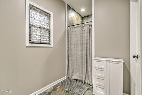 Tiny photo for 35 Short Road, Limestone, TN 37681 (MLS # 9982939)