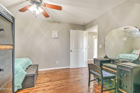 Tiny photo for 35 Short Road, Limestone, TN 37681 (MLS # 9982939)
