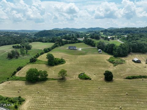 Tiny photo for 35 Short Road, Limestone, TN 37681 (MLS # 9982939)