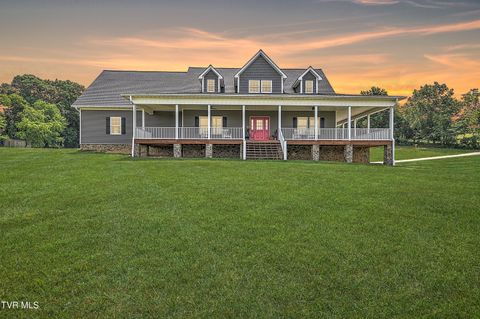 Tiny photo for 35 Short Road, Limestone, TN 37681 (MLS # 9982939)