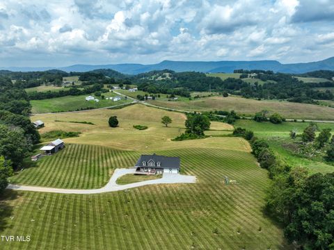 Tiny photo for 35 Short Road, Limestone, TN 37681 (MLS # 9982939)