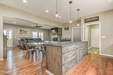 Tiny photo for 35 Short Road, Limestone, TN 37681 (MLS # 9982939)