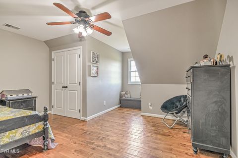 Tiny photo for 35 Short Road, Limestone, TN 37681 (MLS # 9982939)