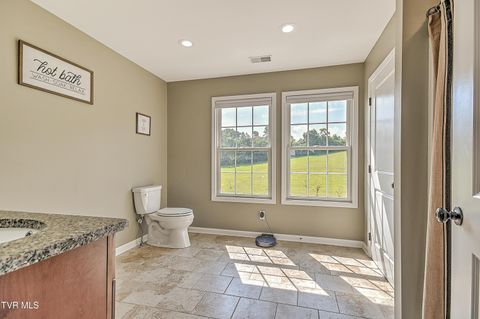 Tiny photo for 35 Short Road, Limestone, TN 37681 (MLS # 9982939)