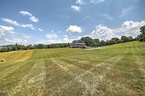 Tiny photo for 35 Short Road, Limestone, TN 37681 (MLS # 9982939)