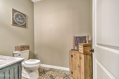 Tiny photo for 35 Short Road, Limestone, TN 37681 (MLS # 9982939)
