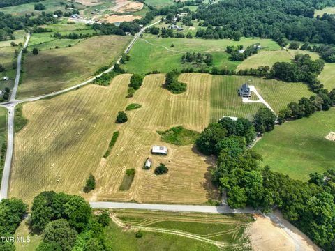 Tiny photo for 35 Short Road, Limestone, TN 37681 (MLS # 9982939)