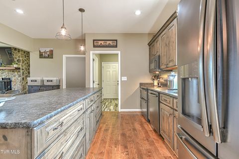 Tiny photo for 35 Short Road, Limestone, TN 37681 (MLS # 9982939)
