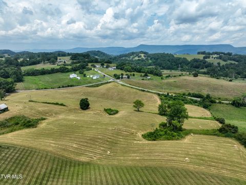Tiny photo for 35 Short Road, Limestone, TN 37681 (MLS # 9982939)