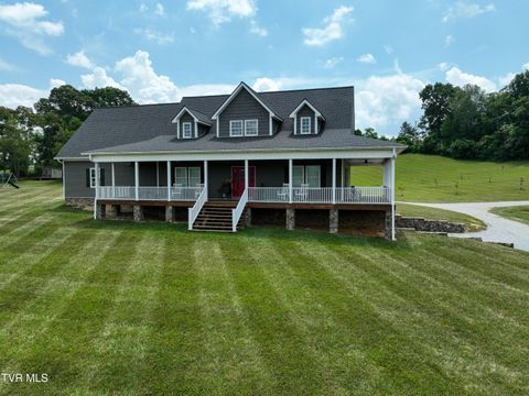 Tiny photo for 35 Short Road, Limestone, TN 37681 (MLS # 9982939)