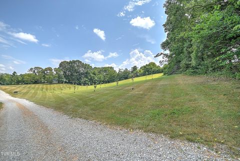 Tiny photo for 35 Short Road, Limestone, TN 37681 (MLS # 9982939)