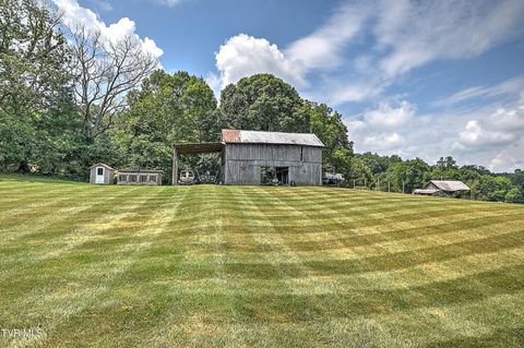 Tiny photo for 35 Short Road, Limestone, TN 37681 (MLS # 9982939)