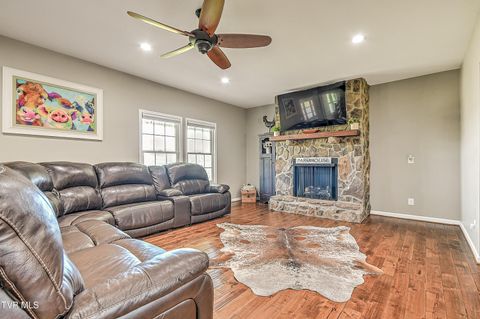 Tiny photo for 35 Short Road, Limestone, TN 37681 (MLS # 9982939)
