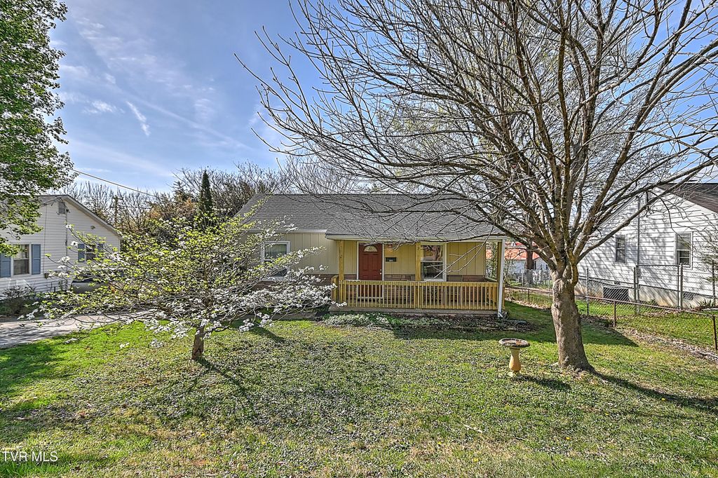 Photo of 1011 Johnson Avenue, Johnson City, TN 37604 (MLS # 9993429)