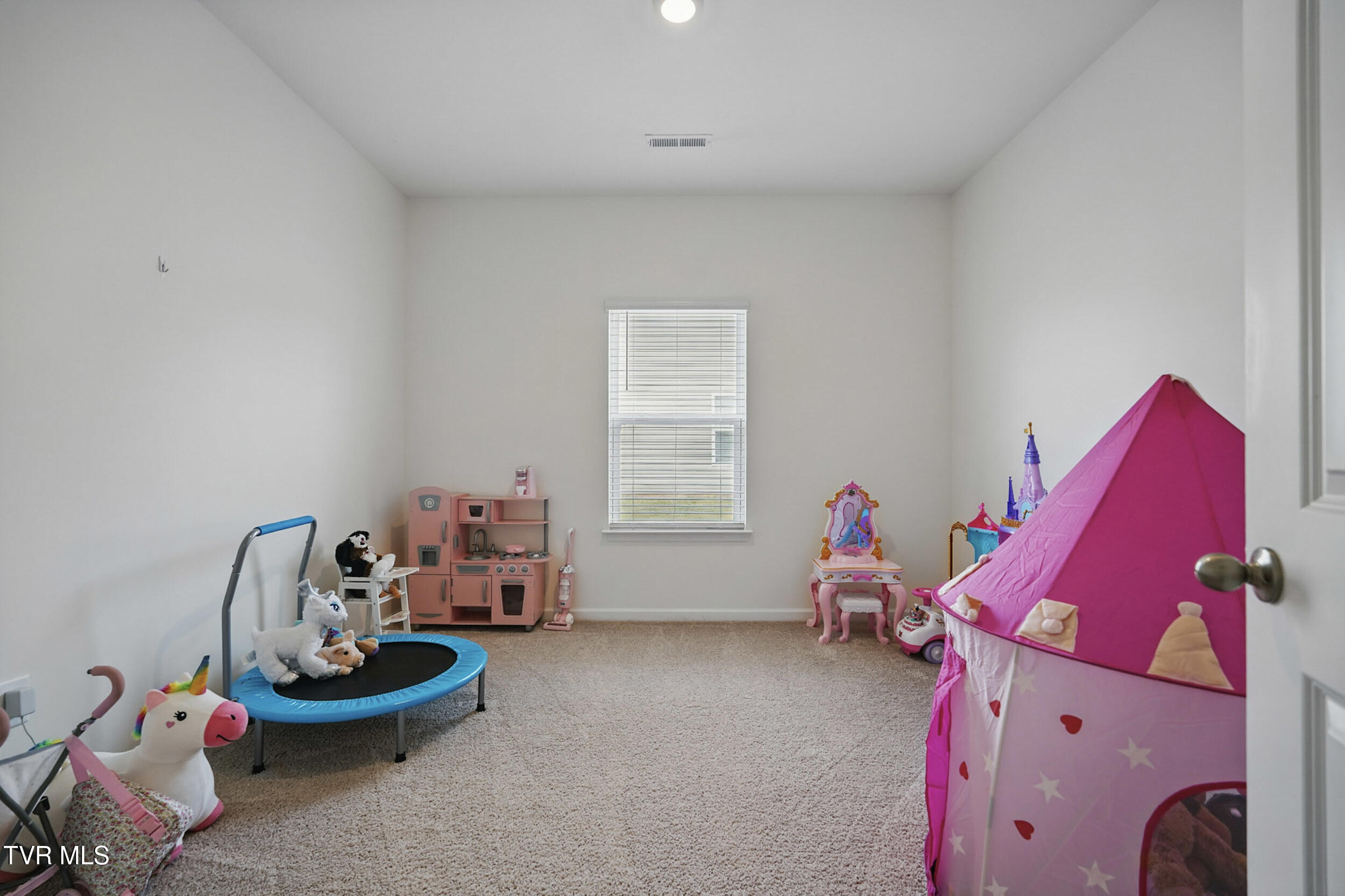 1545 Racoon Lane, Piney Flats, Tennessee image 24