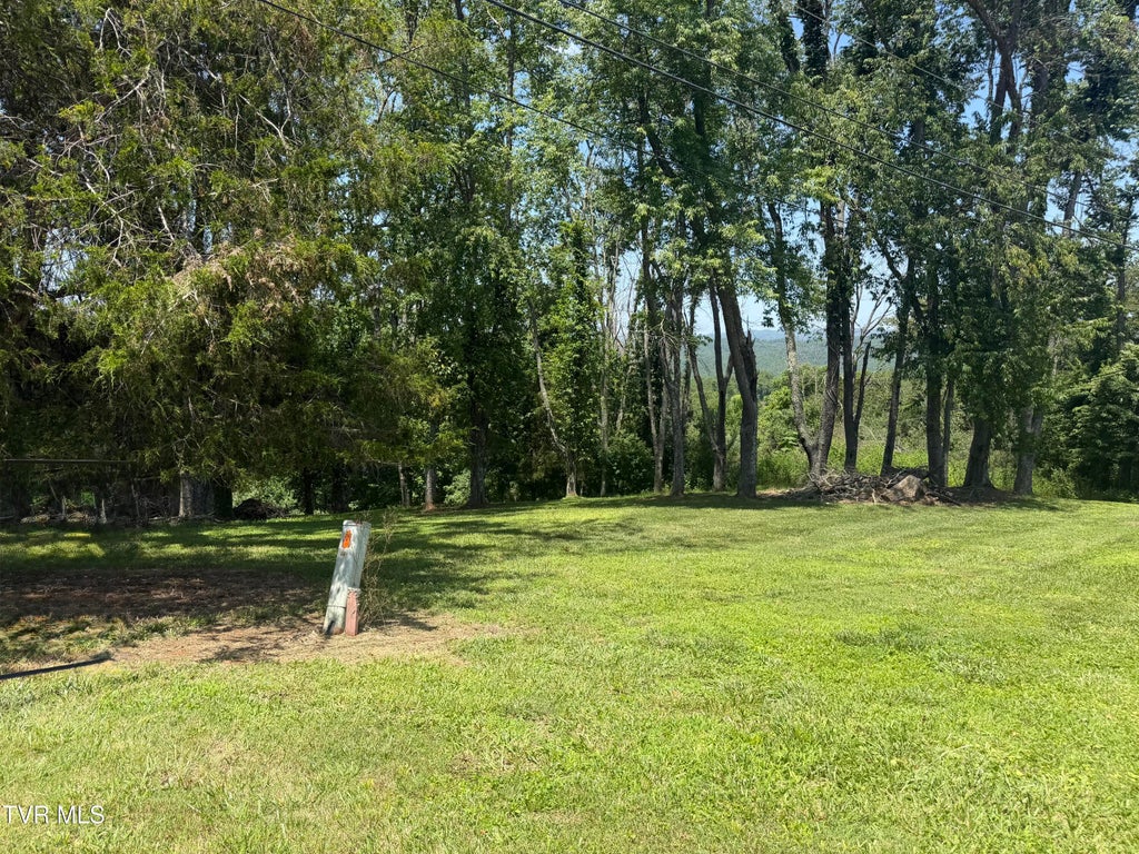 Photo of 2652 Pats Lane, Saint Paul, VA 24283 (MLS # 9997590)