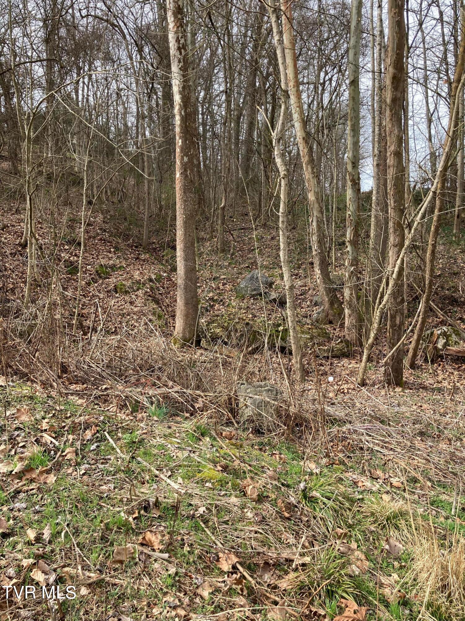 Tbd Mill Stone Cove, Bluff City, Tennessee image 12