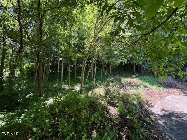 Tbd Mill Stone Cove, Bluff City, Tennessee image 5