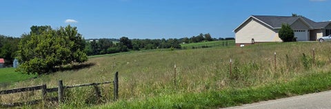 Vacant Land For Sale - 3018 Old State Route 34<br/> Washington County, Limestone, TN 37681