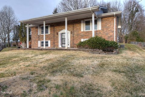 Photo of 1001 Ridgefield Circle, Johnson City, TN 37601 (MLS # 9991390)