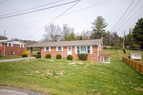 Photo of 208 Hogan Avenue, Greeneville, TN 37743 (MLS # 9992902)