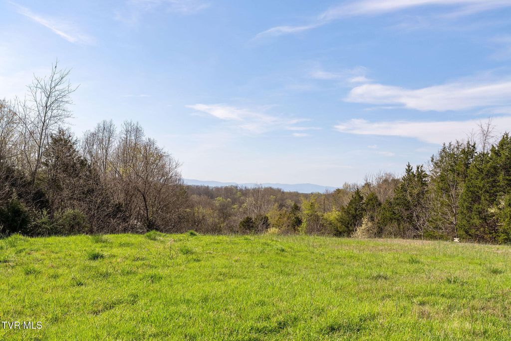Photo of 000 Horseshoe Bend Road, Jonesborough, TN 37659 (MLS # 9993780)