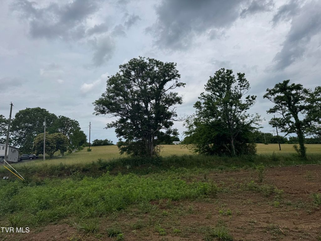 Photo of 0 Paynetown Road, Telford, TN 37690 (MLS # 9995793)