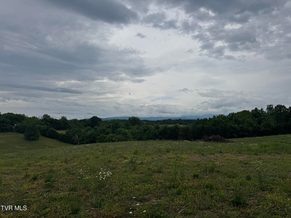 Photo of 0 Paynetown Road, Telford, TN 37690 (MLS # 9995793)