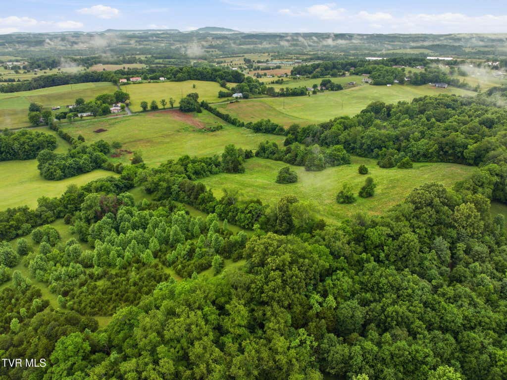 Photo of 0 Paynetown Road, Telford, TN 37690 (MLS # 9995793)