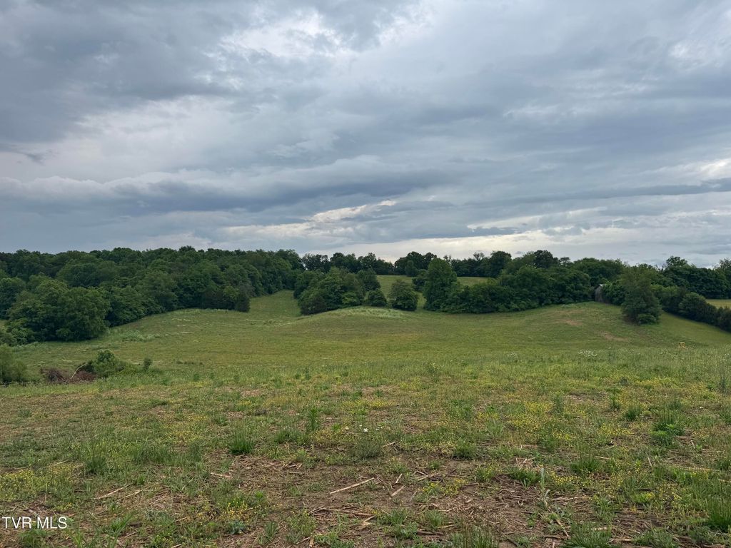 Photo of 0 Paynetown Road, Telford, TN 37690 (MLS # 9995793)
