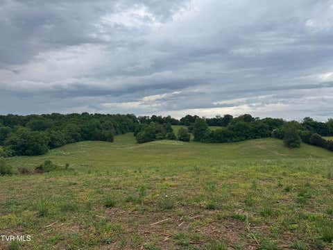 Vacant Land For Sale - Paynetown Road<br/> Telford, TN 37690