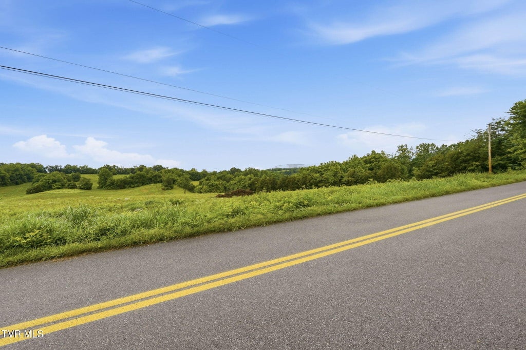 Photo of 0 Paynetown Road, Telford, TN 37690 (MLS # 9995793)