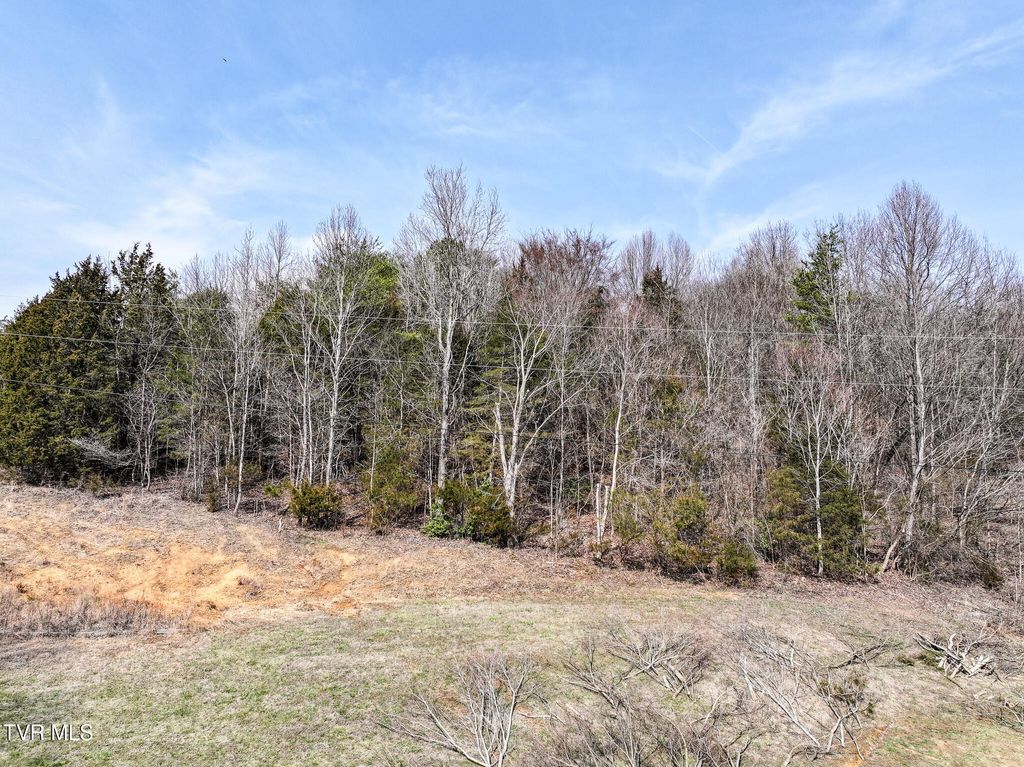 Photo of Tbd Campbell Circle, Chuckey, TN 37641 (MLS # 9991804)