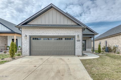 Homes For Sale - 319 Monroe Drive<br/> Bristol, TN 37620