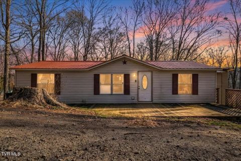 Photo of 250 Horseshoe Bend Road, Rogersville, TN 37857 (MLS # 9989766)