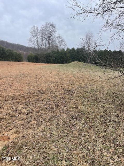 291 Old Island Trail, Kingsport, Tennessee image 6