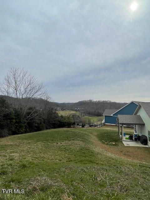 291 Old Island Trail, Kingsport, Tennessee image 4