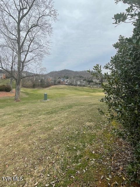 291 Old Island Trail, Kingsport, Tennessee image 2