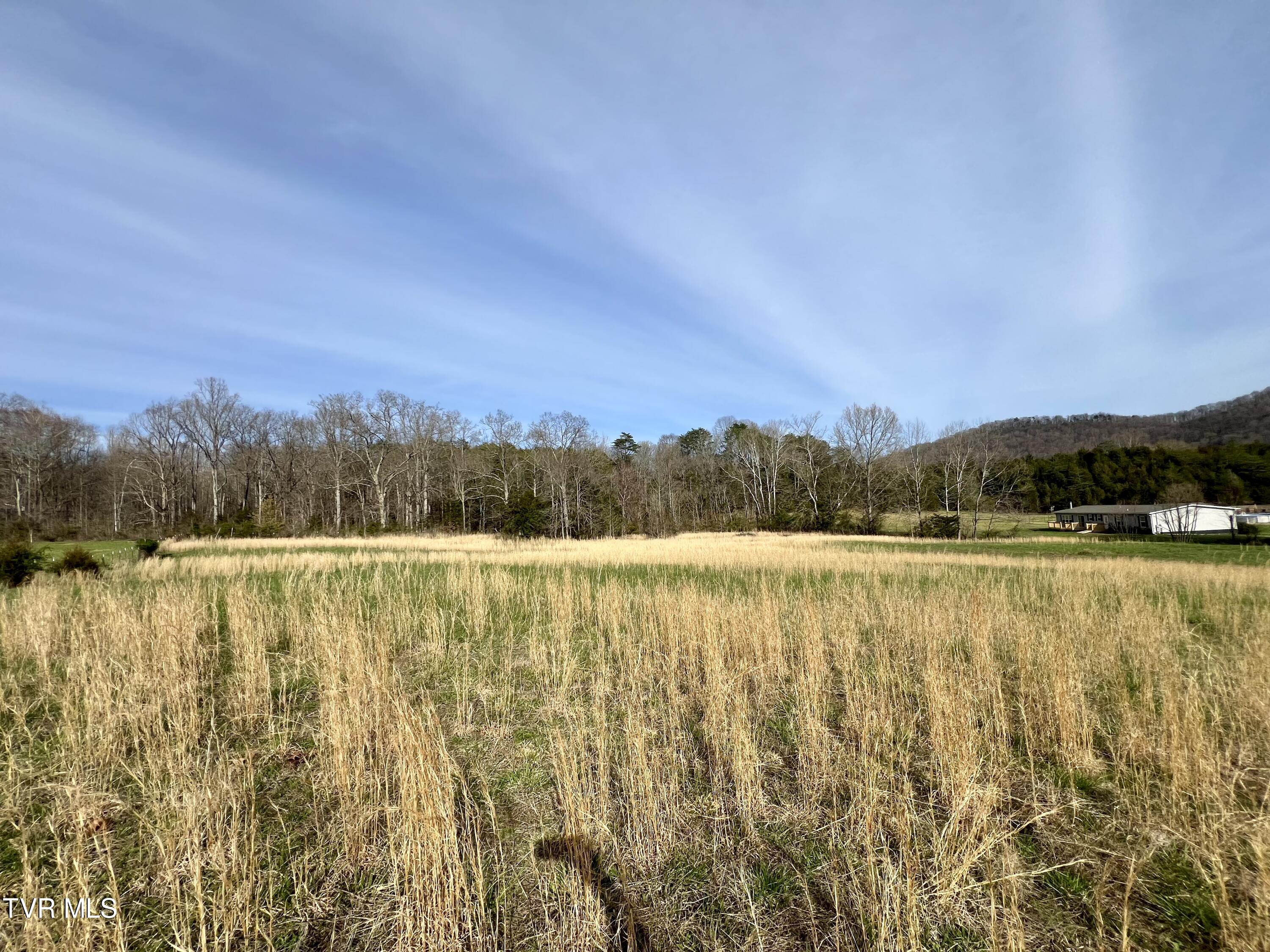 Lovin Road, Mooresburg, Tennessee image 15