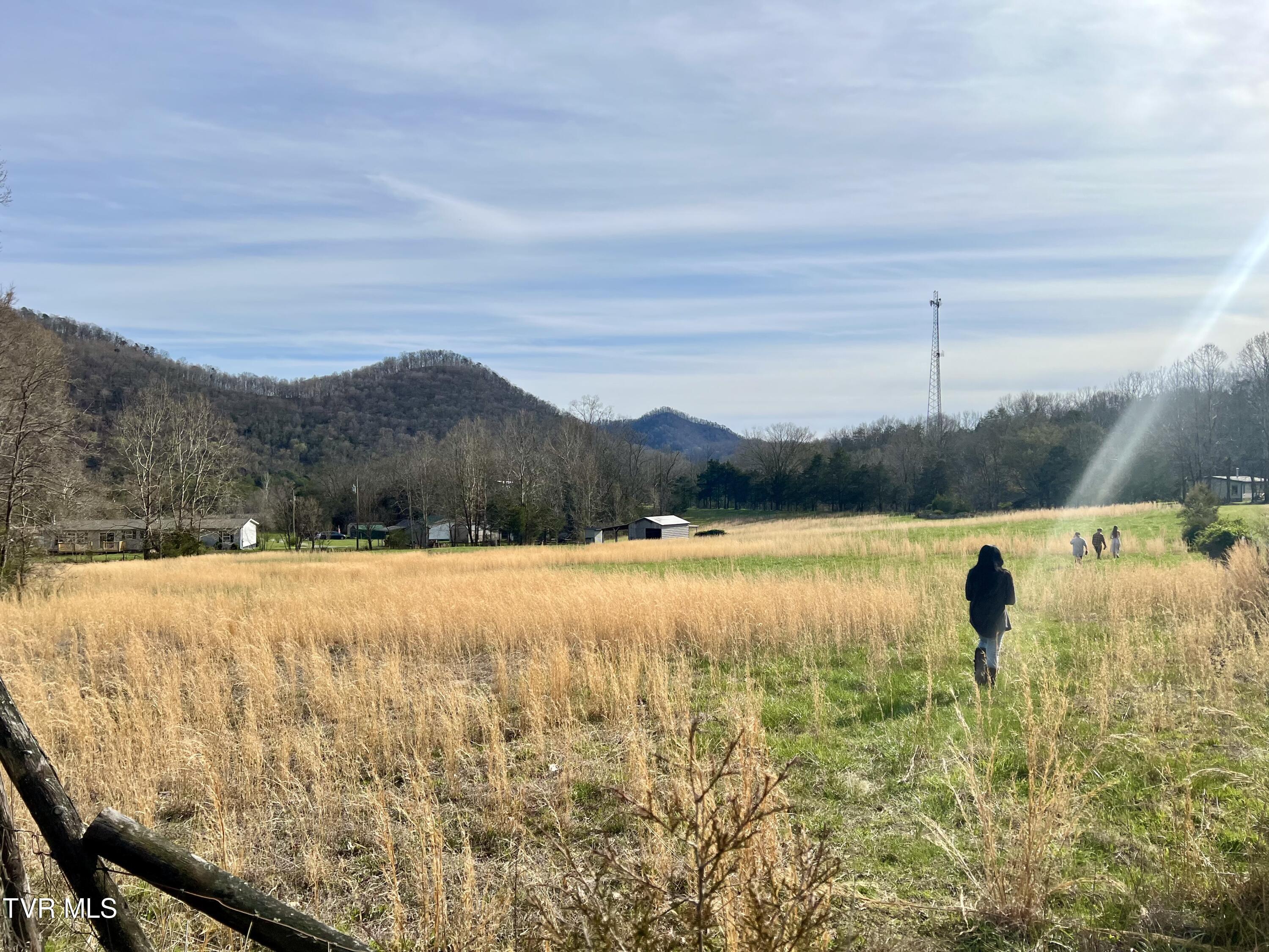 Lovin Road, Mooresburg, Tennessee image 20