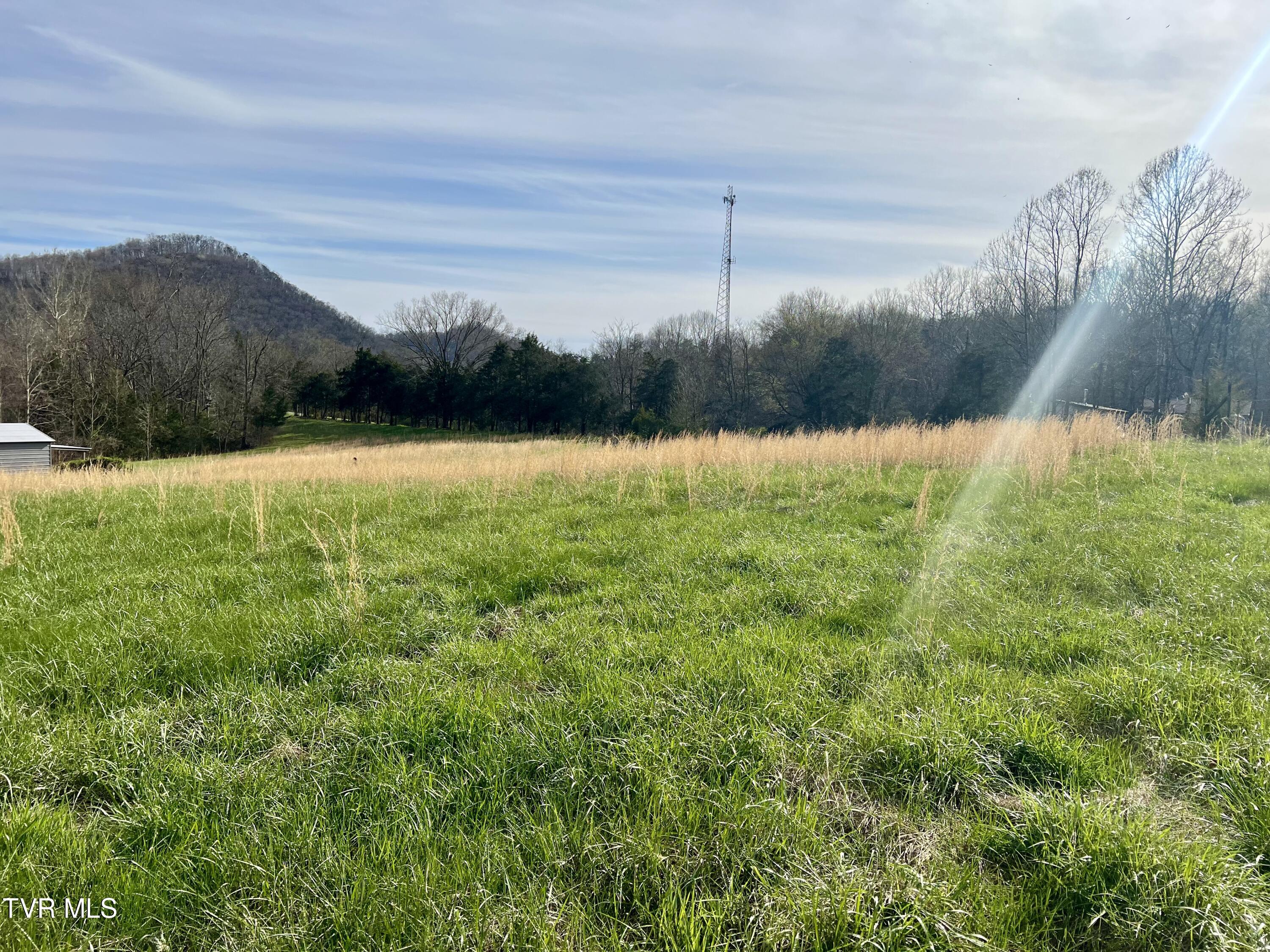 Lovin Road, Mooresburg, Tennessee image 18