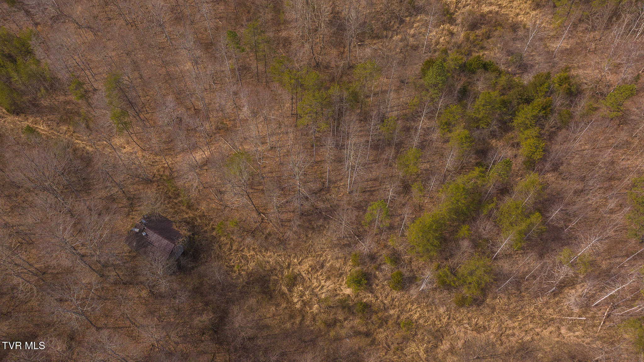 150 Ac Big Springs Road, Eidson, Tennessee image 35