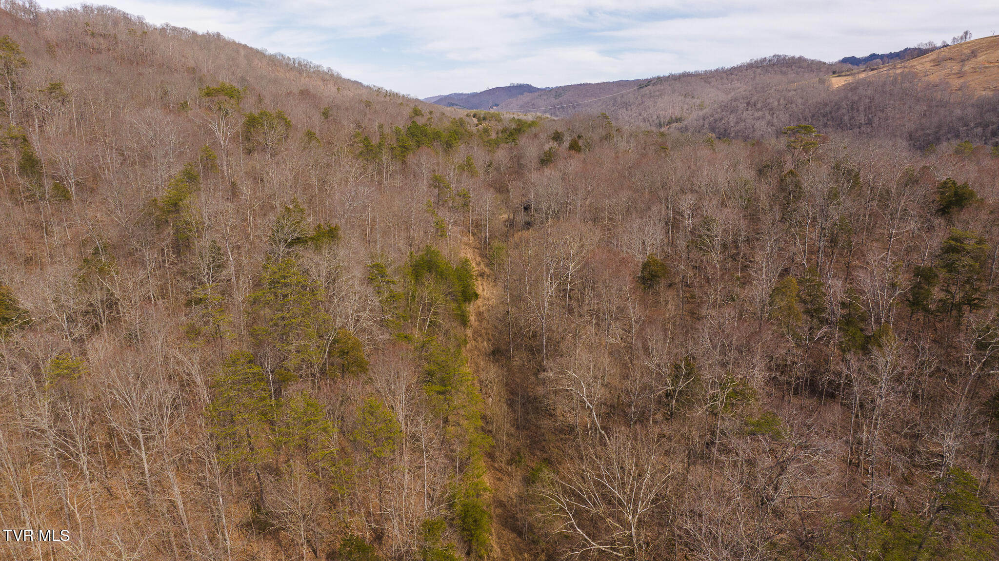 150 Ac Big Springs Road, Eidson, Tennessee image 25
