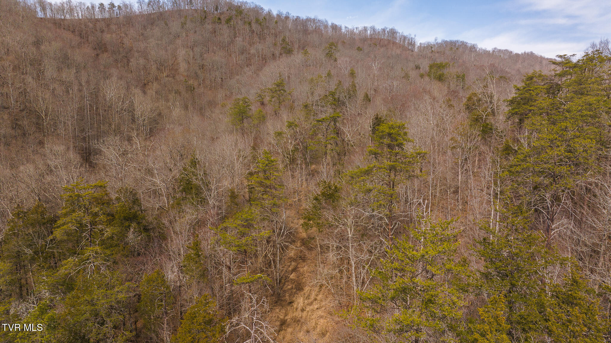150 Ac Big Springs Road, Eidson, Tennessee image 23