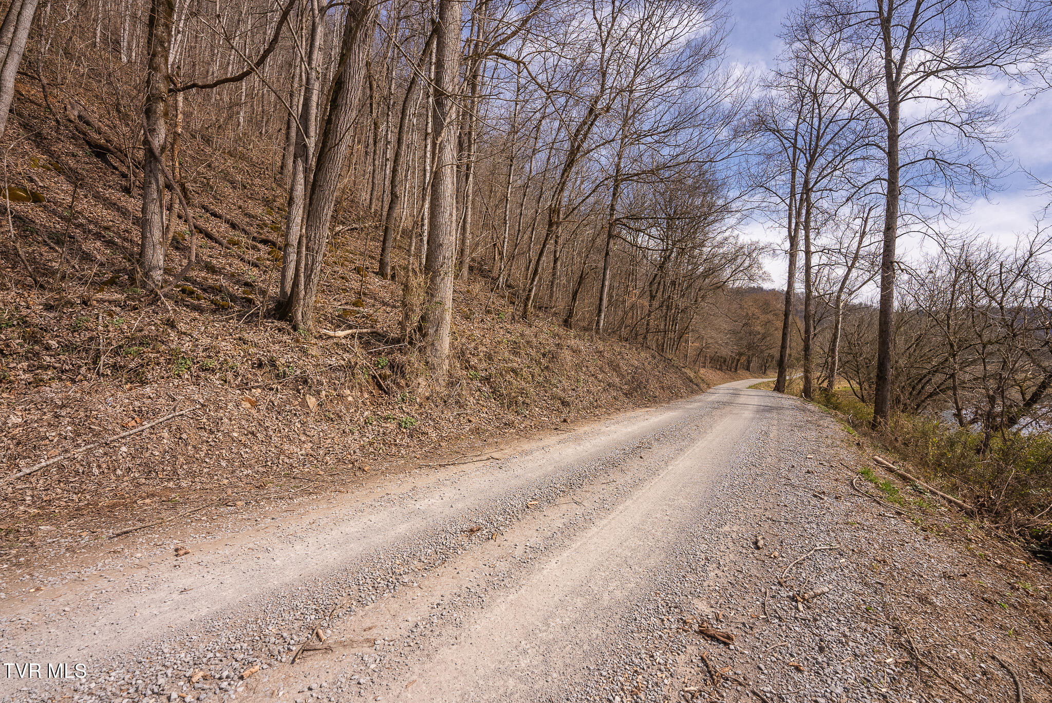 150 Ac Big Springs Road, Eidson, Tennessee image 11