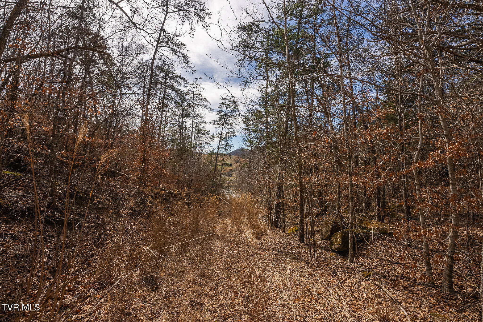 150 Ac Big Springs Road, Eidson, Tennessee image 49