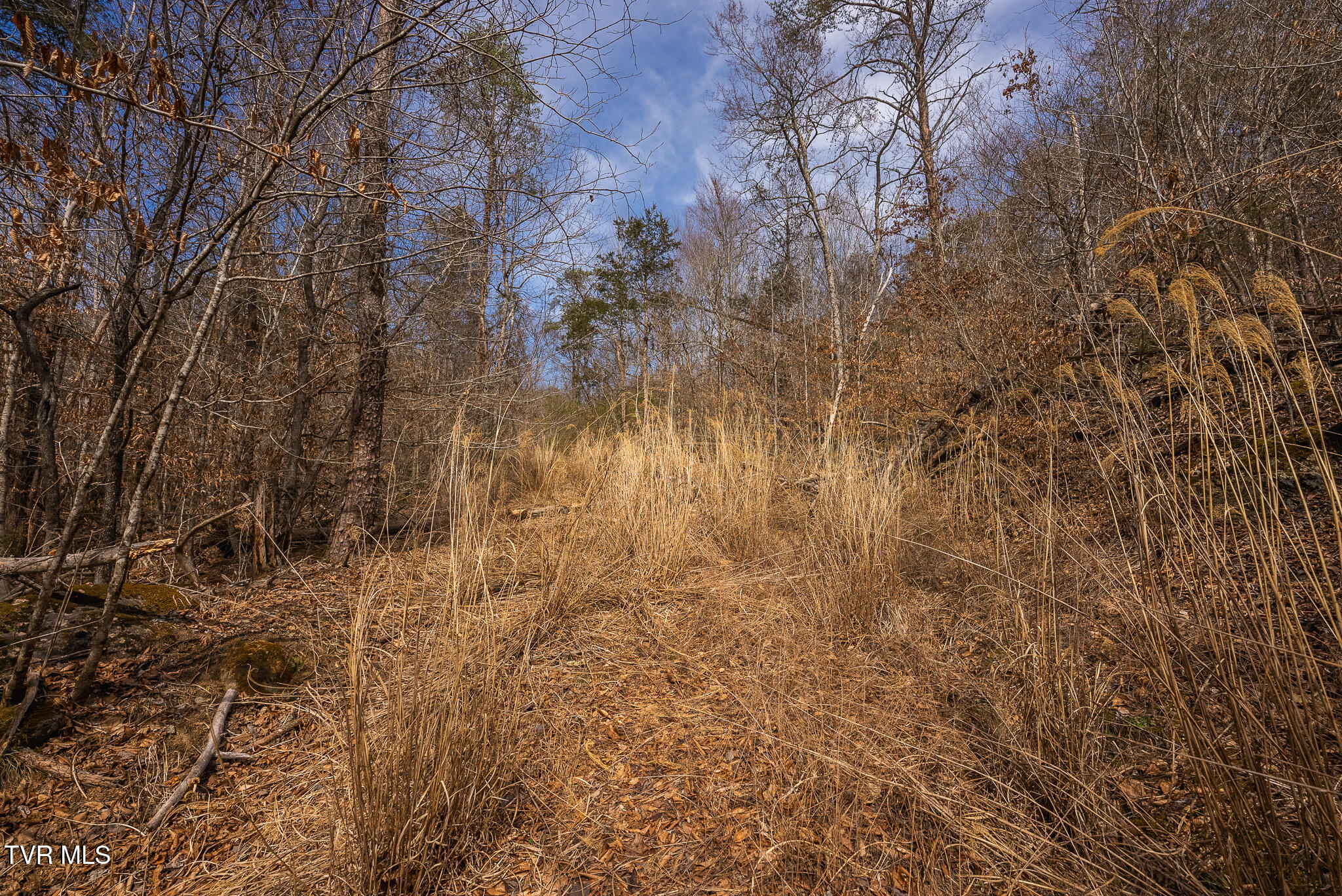 150 Ac Big Springs Road, Eidson, Tennessee image 48