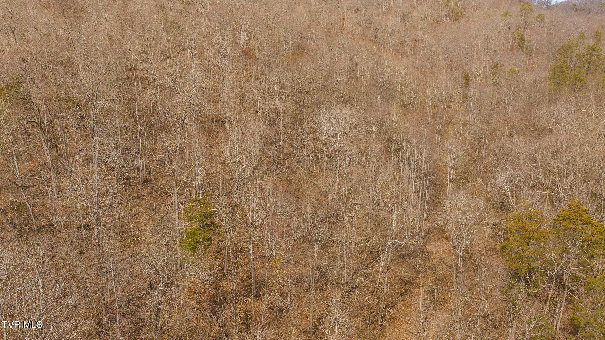 150 Ac Big Springs Road, Eidson, Tennessee image 31