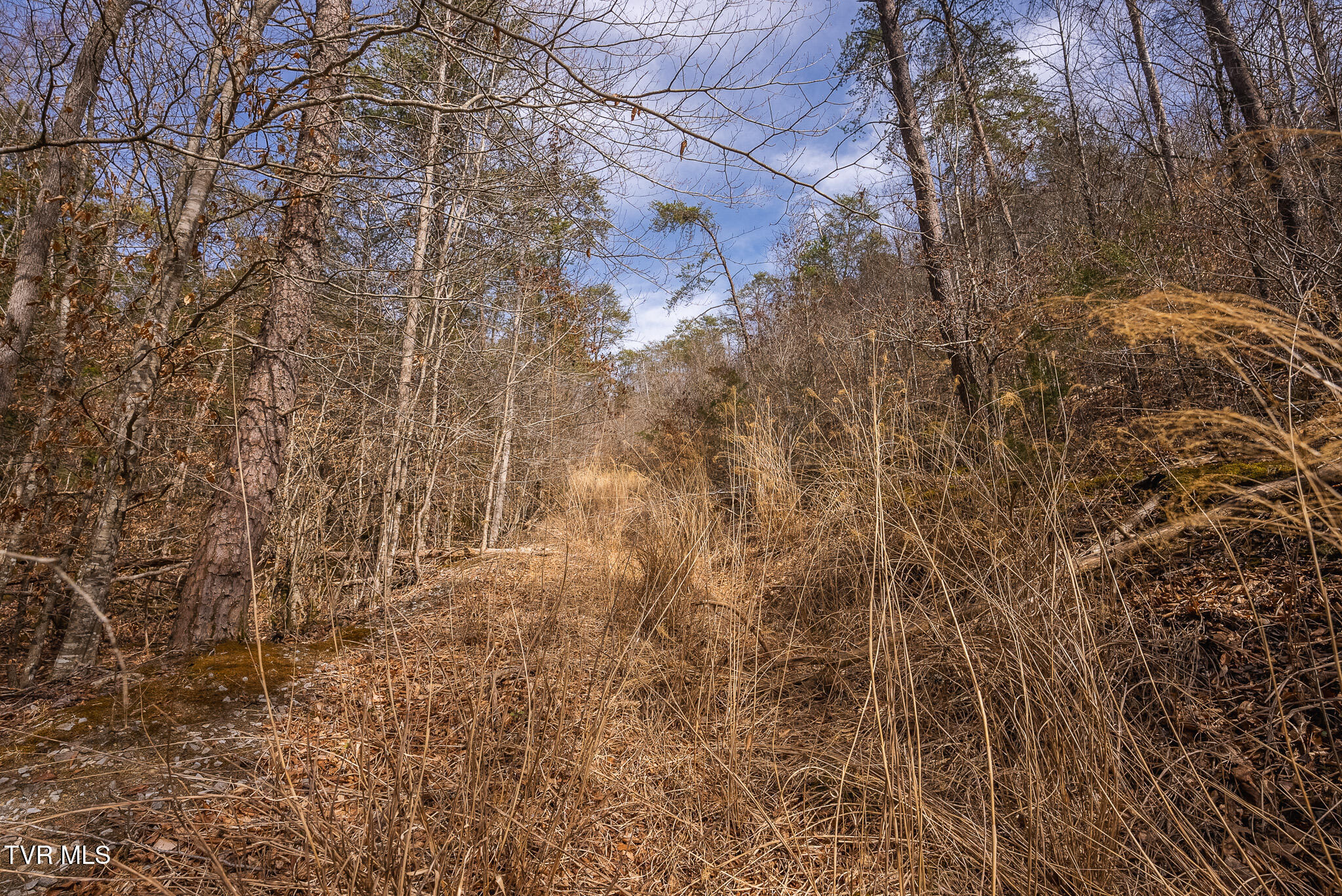 150 Ac Big Springs Road, Eidson, Tennessee image 45
