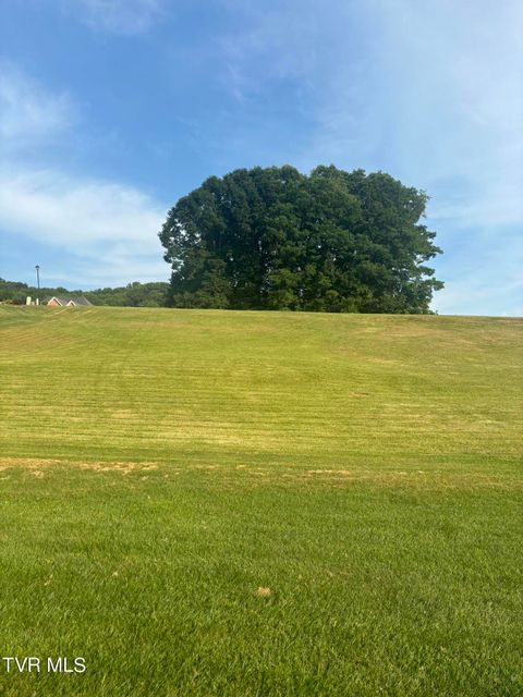 Vacant Land For Sale - TBD Acorn Lane #LOT 18<br/> Bristol, VA 24202